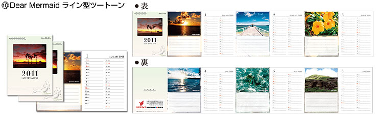 Panorama Calendar パノラマカレンダーレギュラーサイズ 蛇腹折りカレンダー ポケットサイズ 6ヶ月×2冊セット １０. DearMermaid　ライン型ツートーン