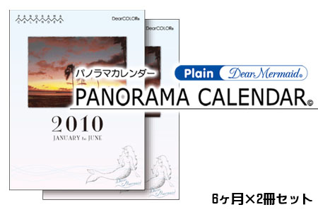 Panorama Calendar パノラマカレンダーレギュラーサイズ 蛇腹折りカレンダー ポケットサイズ 6ヶ月×2冊セット